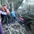 P1600847.jpg