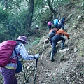 P1600850.jpg