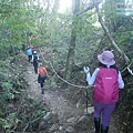 P1600852.jpg