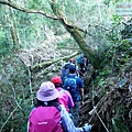 P1600856.jpg