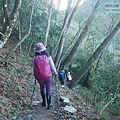 P1600860.jpg