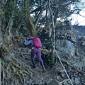 P1600859.jpg