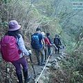 P1600861.jpg