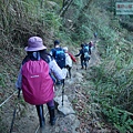 P1600863.jpg