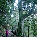 P1600866.jpg
