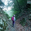 P1600867.jpg