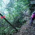 P1600871.jpg