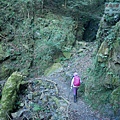 P1600889.jpg