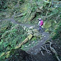 P1600891.jpg