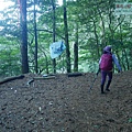 P1600892.jpg