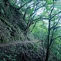 P1600896.jpg