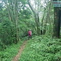 P1710594.jpg