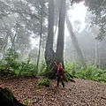 P1790249-2.jpg