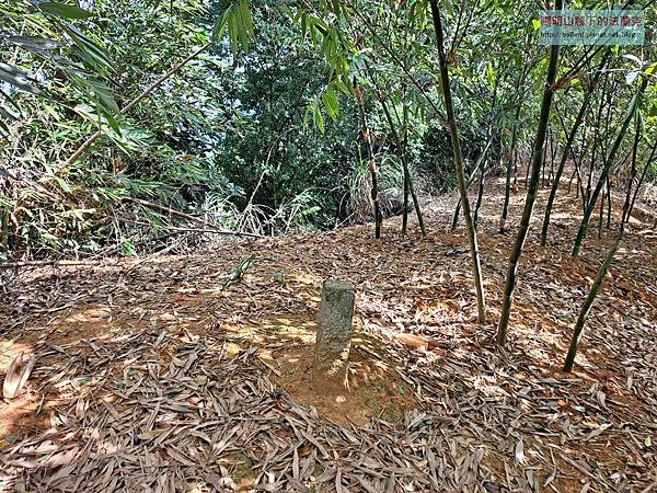 20201024_114955.jpg 20201024_114955.jpg