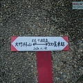 P1880691.jpg