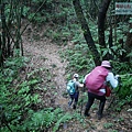 P1880715.jpg