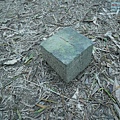 P1910800.jpg