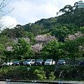 P1940335.jpg