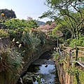 P1940340.jpg