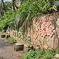 P1940342-.jpg