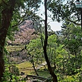 P1940351-.jpg