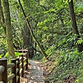 P1940350-.jpg