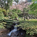 P1940354-.jpg