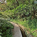 P1940355-.jpg