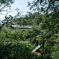 P1940363.jpg