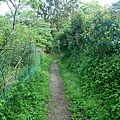 P1940400.jpg