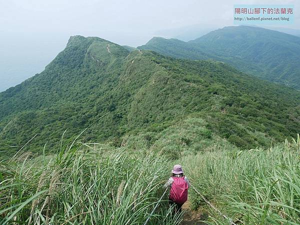 P1940673.jpg P1940673.jpg