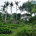 P1960019.jpg