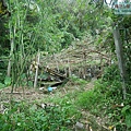 P1960018.jpg