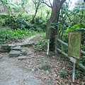 P1960024.jpg
