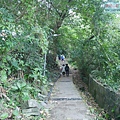 P1960021.jpg