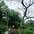 P1960020.jpg