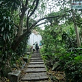 P1960025.jpg