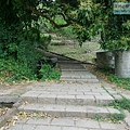 P1960028.jpg