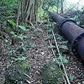 P1960040.jpg