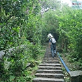 P1960048.jpg