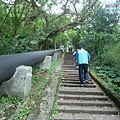 P1960047.jpg