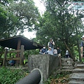 P1960050.jpg
