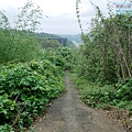 P1960069.jpg