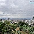 P1960066-.jpg