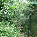 P1960068.jpg