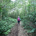 P1960768.jpg