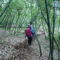 P1960769.jpg