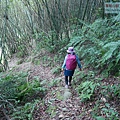 P1960782.jpg