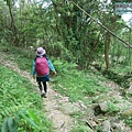 P1960783.jpg