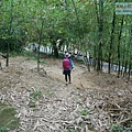 P1960786.jpg